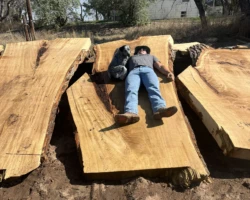 Three large slabs of lumber laid side by side with a man and a dog laying on the middle slab