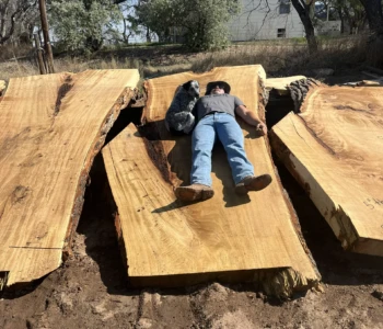 Three large slabs of lumber laid side by side with a man and a dog laying on the middle slab