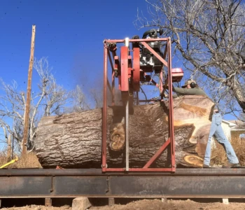 A log approximately 3 feet tall is getting cut into slabs using a sawmill.